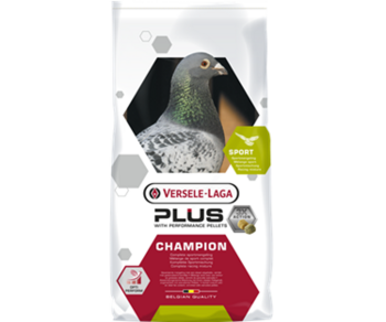 Champion-plus-ic+